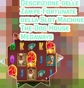 The dog house slot